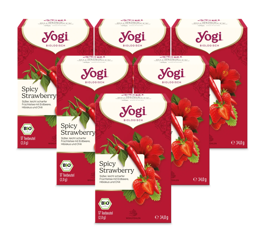6x YOGI TEA Spicy Strawberry BIO | 6x34g