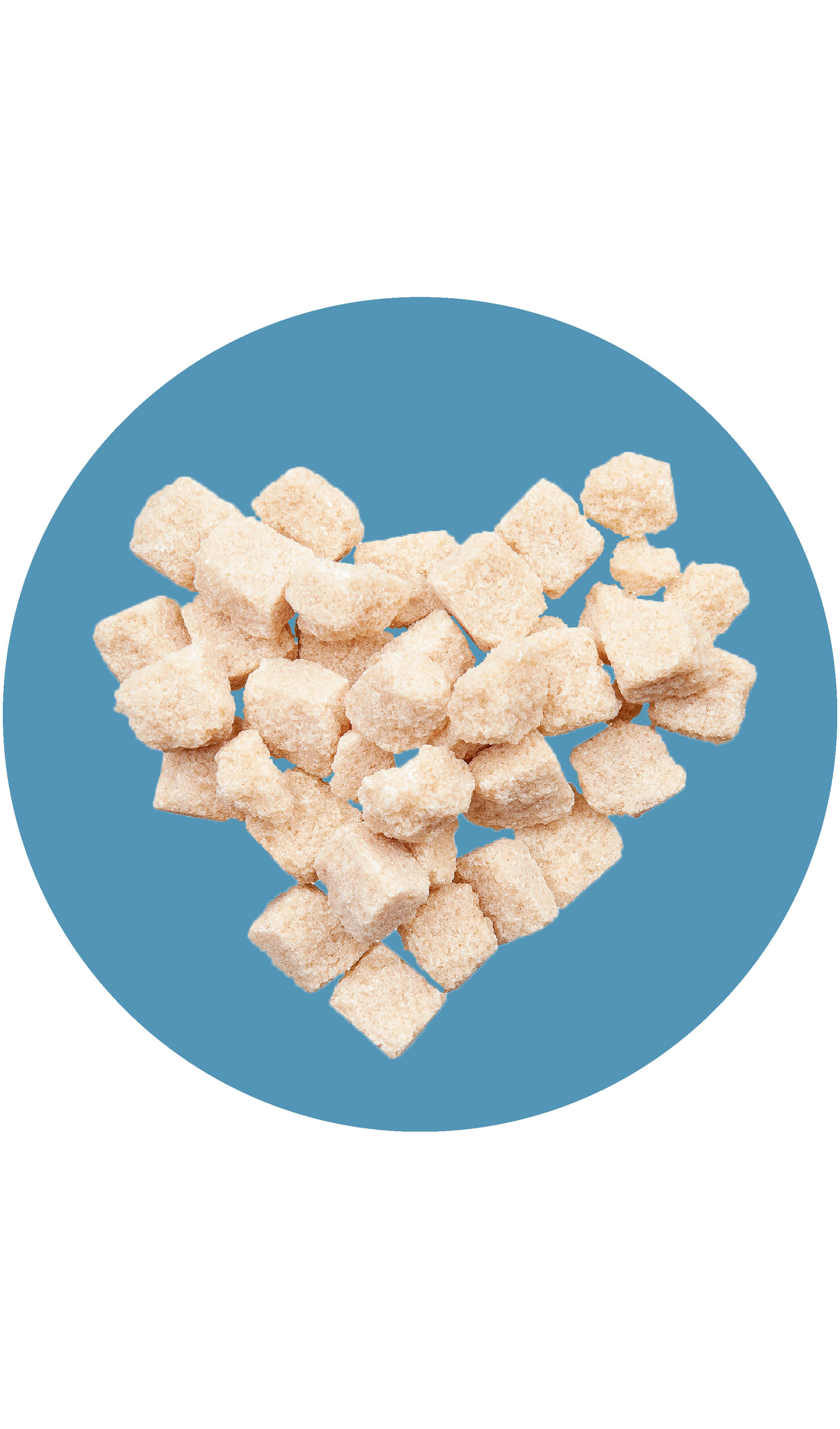 5 x Zucker-Lompen | Rohrzucker | 5 x 250 g 