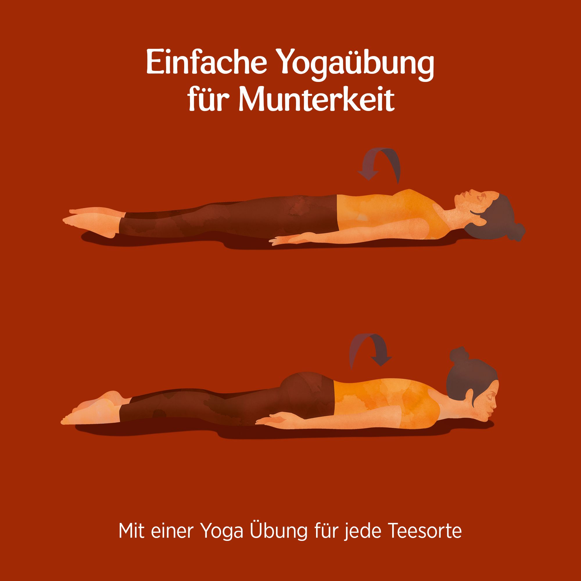 6 x BIO YOGI Süßes Wohlgefühl (Lakritz) | 6 x 30,6g