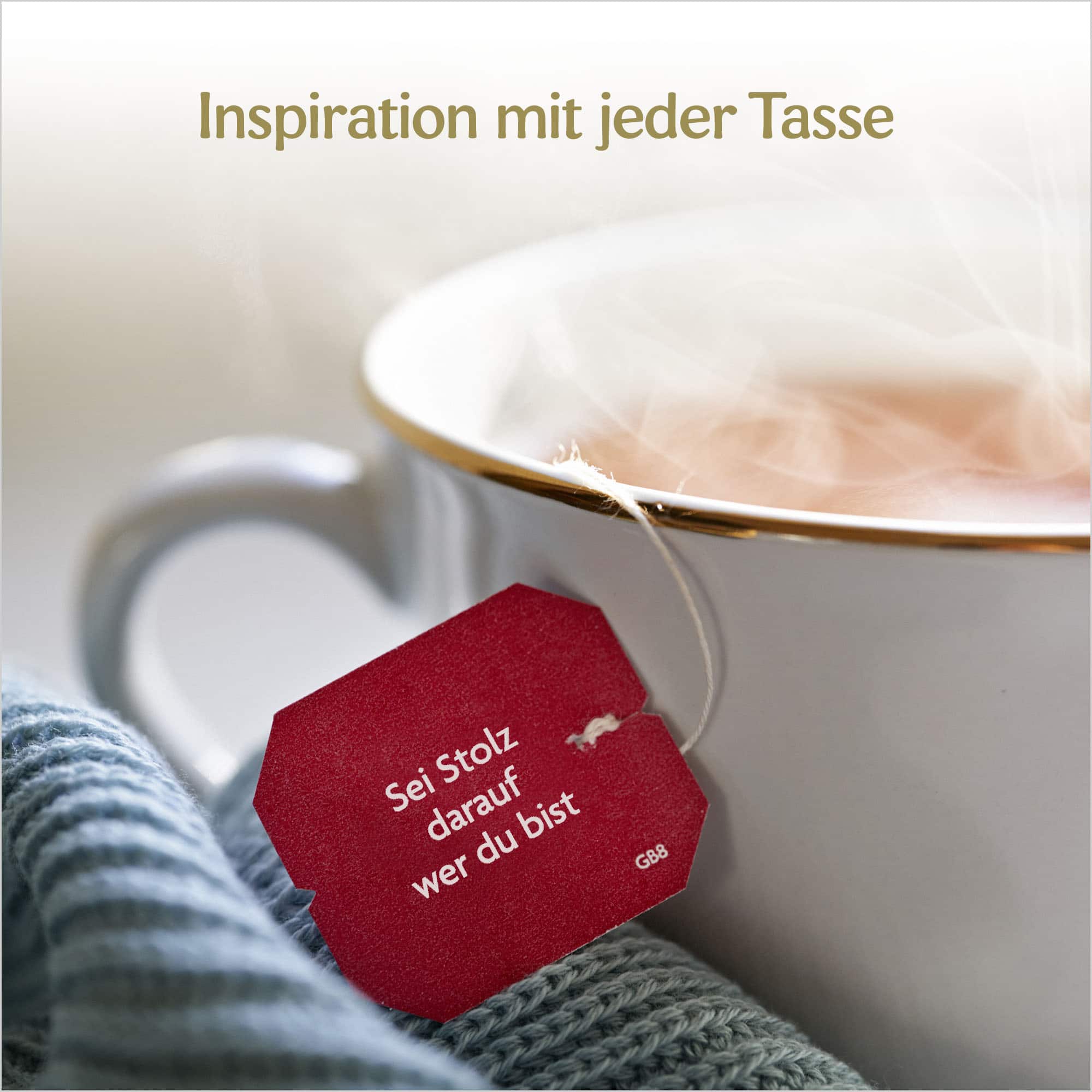 6 x BIO YOGI TEA Männertee | 6 x 30,6g