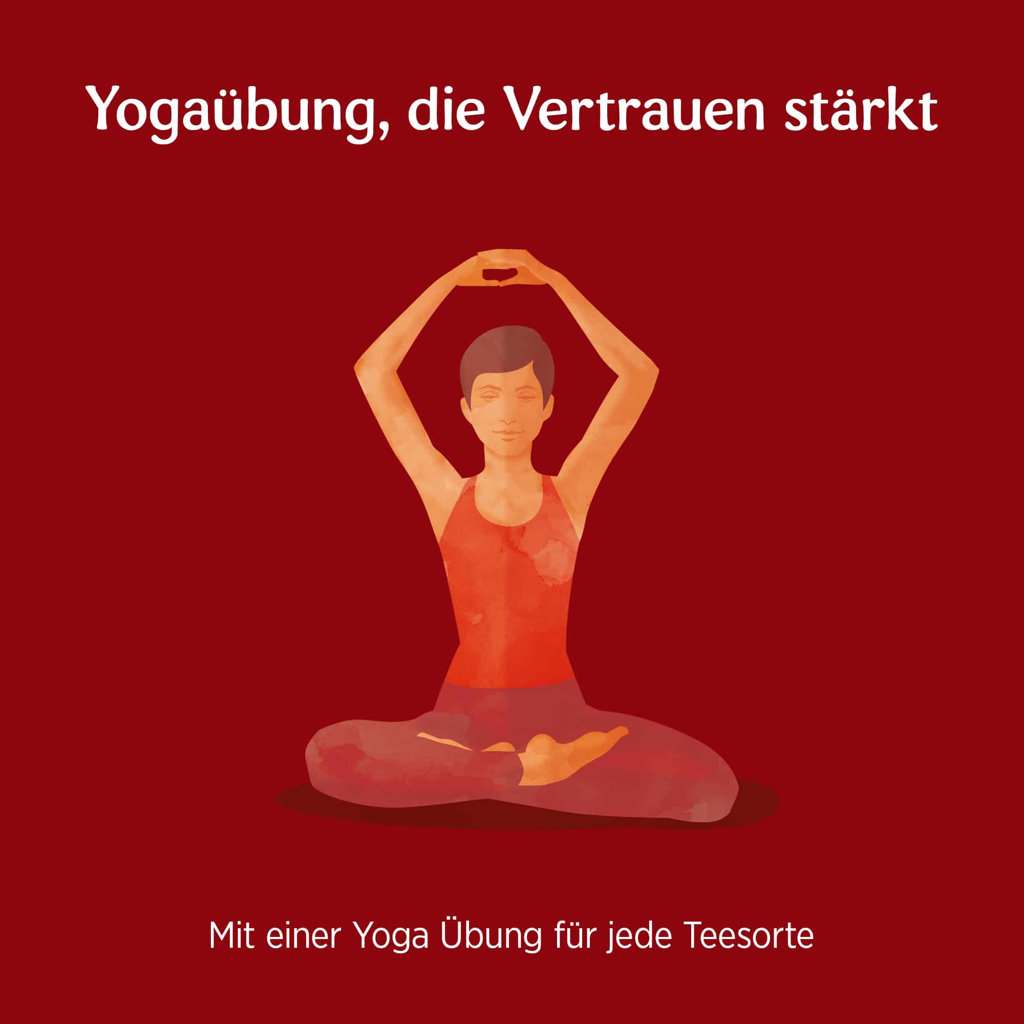 3 x BIO YOGI TEA Abend Rooibos Vanille | 3 x 30,6g 
