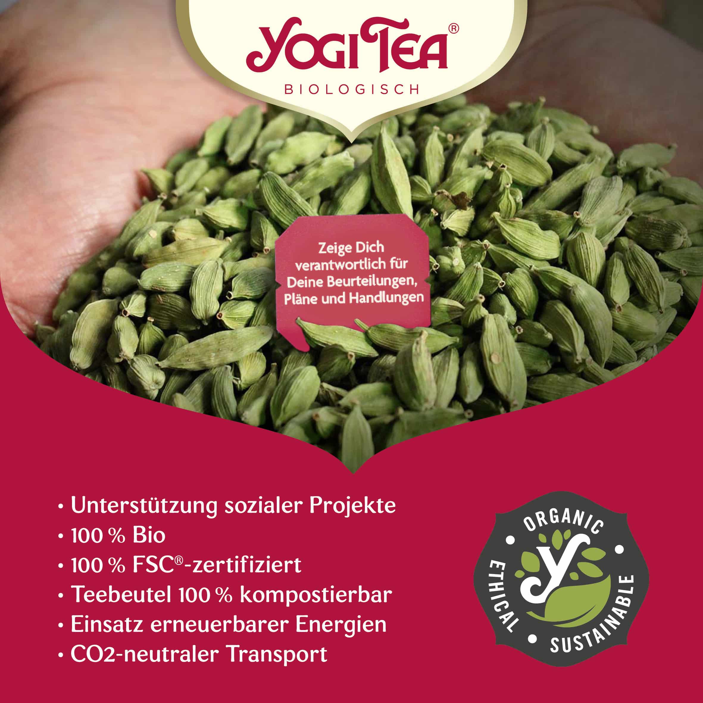 BIO YOGI TEA Black Chai | 17 x 2,2g