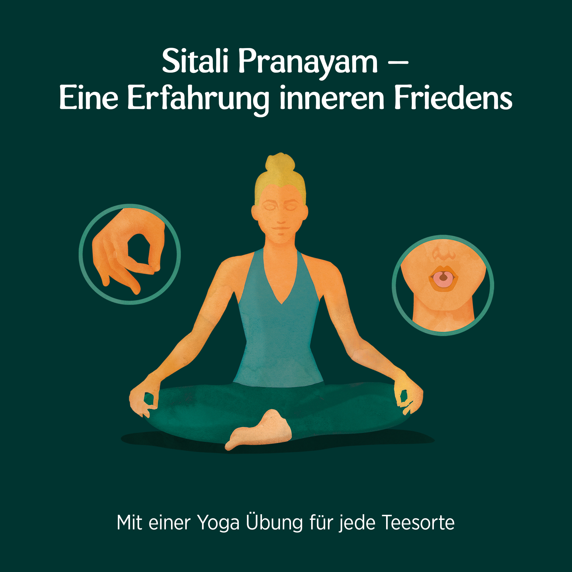 6 x BIO YOGI Relax (Ruhe) | 6 x 30,6g
