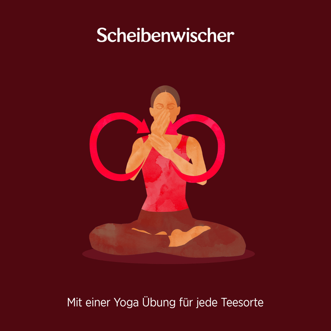 10 x YOGI TEA Mentale Klarheit Bio 32,3g Bio Kräutertee - minzig. erfrischend