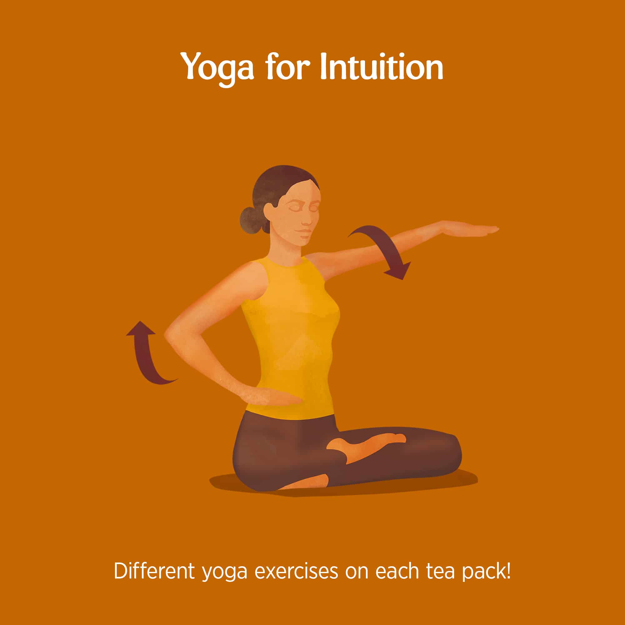 6 x BIO YOGI TEA Kurkuma Chai | 6 x 34g 