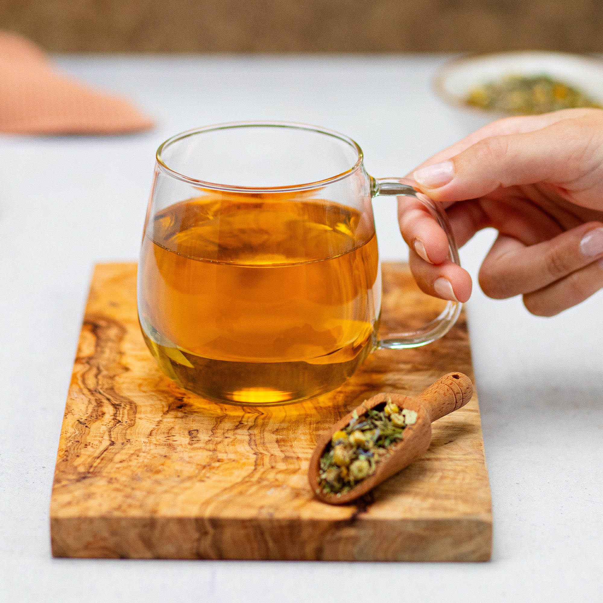 BIO Guten Abend Kräutertee | 50g