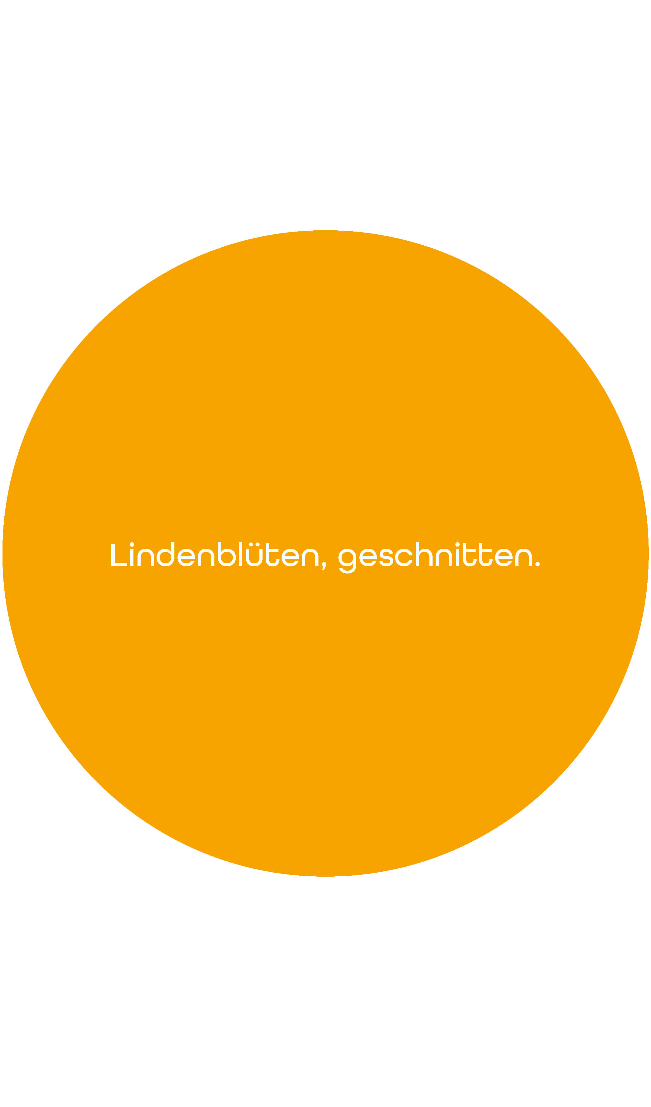 Lindenblütentee | 50g 