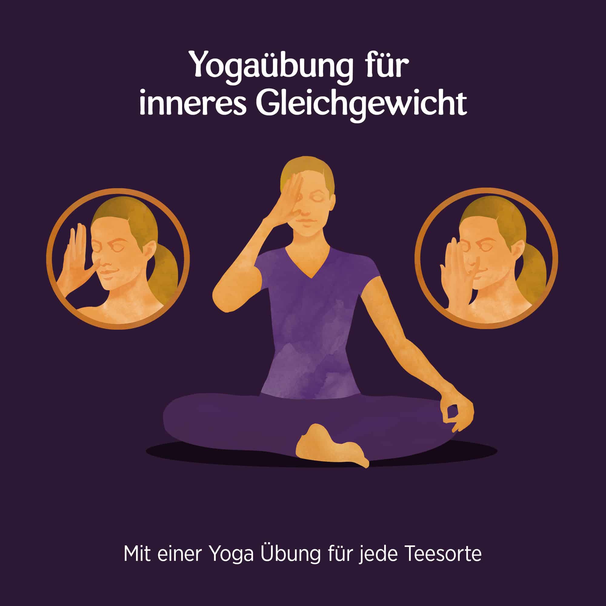 3 x BIO YOGI TEA Rooibos | 3 x 30,6g