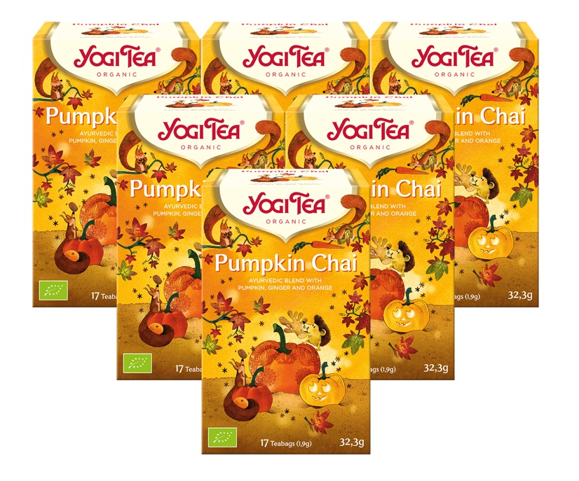 6 x BIO YOGI TEA Pumpkin Chai | 6 x 32,3g