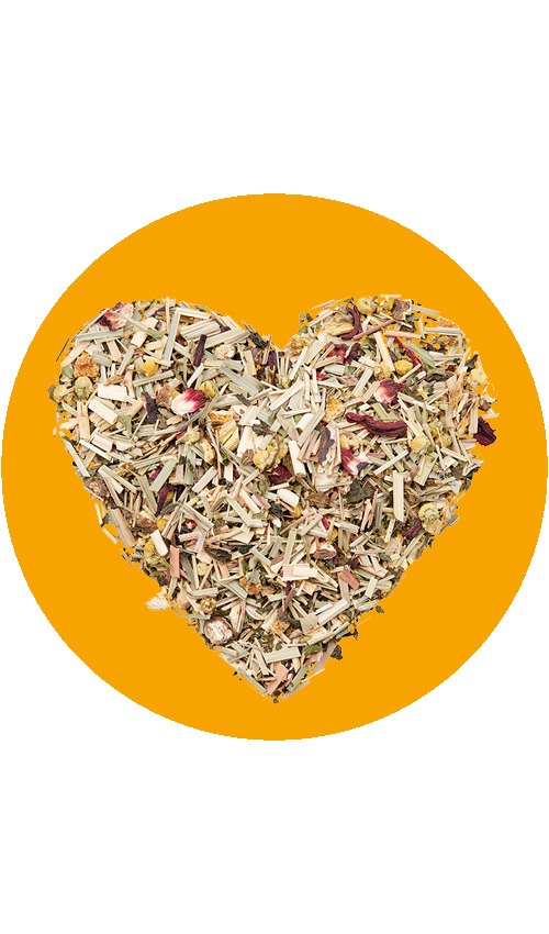 BIO Kräutertee 10-Kräuter | 1kg Bio Kräutertee